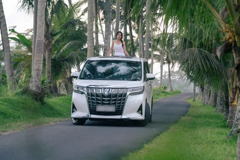 Private luxury van on a palm-lined road near Ubud